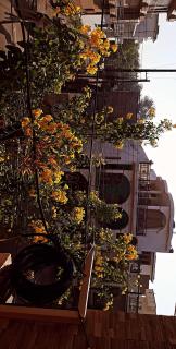Downtown villa - Lucknow - 3