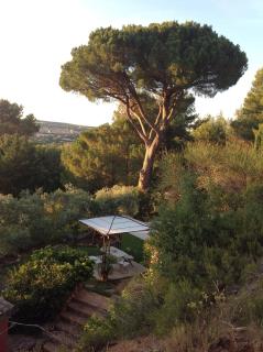 La GUIRAMANDE - Aix-en-Provence - 8