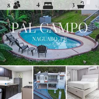 Pal Campo - Ceiba - 0