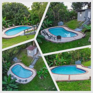 Pal Campo - 4