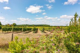 Charming countryside retreat - 7