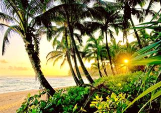 KBM Resorts FREE CAR Islands at Mauna Lani IML-E4 Large Lanai Golf Cart - Waikoloa - 0