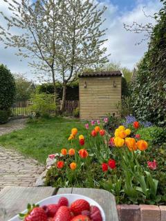 The Highlander- Stylish Hideaway near Beach & Forest Schoorl and Bergen- Dogs Welcome - Warmenhuizen - 7