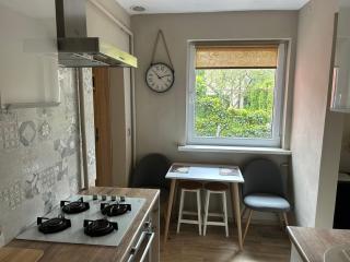 Apartament dwupokojowy z ogrodem - Posen - 8
