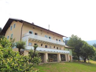 Villa in Bavaria near Ski Trails & Sauna - Lam - 0