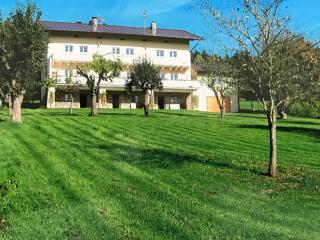 Villa in Bavaria near Ski Trails & Sauna - Lam - 3