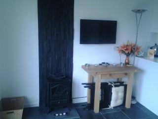 Parkway Chalet - Pennal, Powys, Wales nr Aberdovey - Pennal - 3