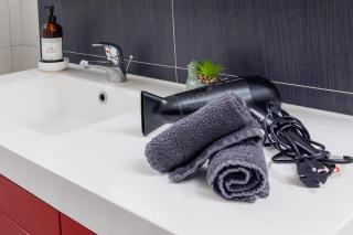 Appartement Ginkgo au Cœur de L'Alsace - Sélestat - 4 à 6 personnes - Sélestat - 4