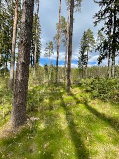 Värava Talu - Leina - 7