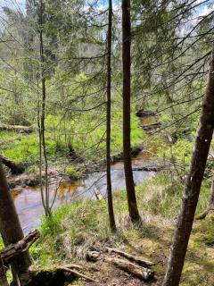 Värava Talu - Leina - 1