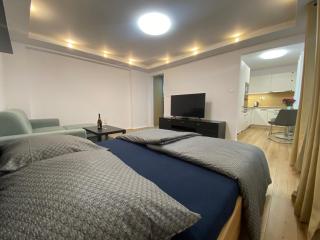 Modern Flat Close to Old Town - Košice - 0