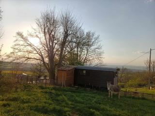 Roulotte champêtre à la ferme - 4