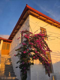 Guest House Luiza - Borsh - 9