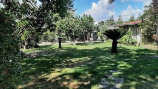Villa Roverella - Cassano delle Murge - 7