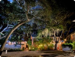 The Treehouse - Sarasota - 1