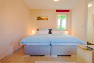 Terrassen-Apartment in Bamberg - Bamberga - 9