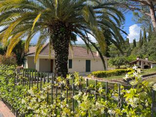 Villa Claudia - casa vacanze - Agropoli - 8