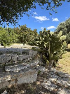 Trulli Donna Gina - 7