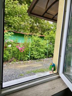 Apartament 3 Closca - Floreşti - 4