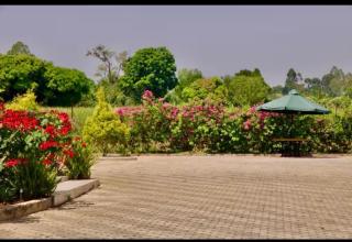 The countryside Escape - - 5