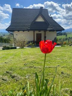 Domki z widokiem na Tatry - Bańska - 4