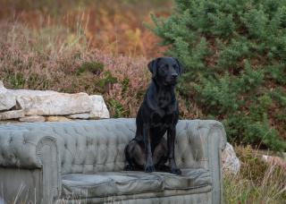 Croft 103 - Portnancon - 2