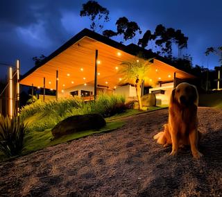 Acampamento do Bosque - 6