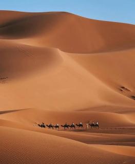 Amars luxury camp - Merzouga - 1