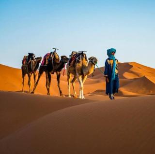 Amars luxury camp - Merzouga - 3