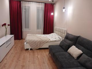 Федьковича квартира біля вокзалу - Lviv - 3