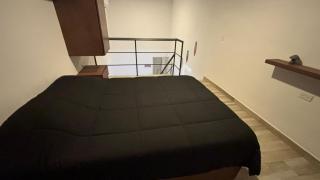 Somos Rastas Lofts - Cabo San Lucas - 0