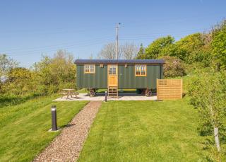 Beacon Shepherd Huts - St. Agnes - 8