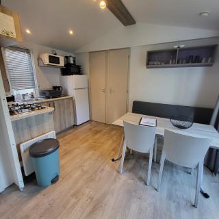 MOBIL-HOME CONFORTABLE ET BIEN EQUIPE AVEC PISCINES ET LA PLAGE A PIED - Fouesnant - 1