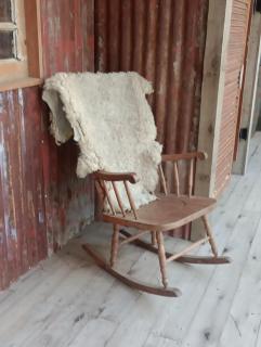 Oldtown Chihuahua - 2