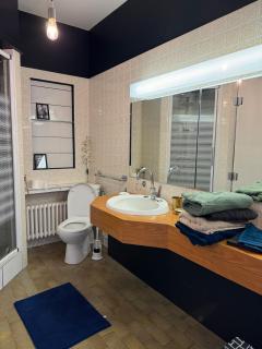 Maison de charme au bord du Cher, proche de Beauval et des Châteaux de la Loire - Selles-sur-Cher - 9