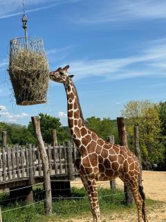 Maison de charme au bord du Cher, proche de Beauval et des Châteaux de la Loire - Selles-sur-Cher - 8