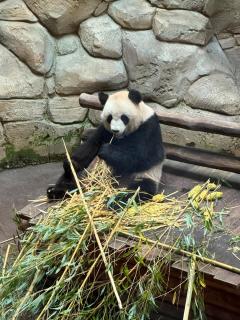 Maison de charme au bord du Cher, proche de Beauval et des Châteaux de la Loire - Selles-sur-Cher - 3