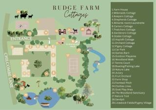 Thatchers Cottage - Rudge Farm Cottages - Bridport - 1