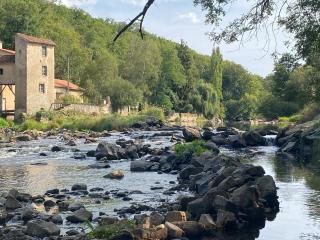 Les Rimpaudieres - Saint-Rémy-en-Montmorillon - 4