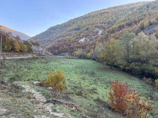 Aliferous Camping - - 2