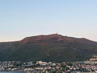 Great view - King bed - Balcony w roof - Sunroom - Bergen - 7