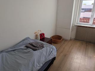 Pet-Friendly Apartment 2 60m2 - close to Femern & Puttgarden & Lalandia & Knuthenborg - Holeby - 8