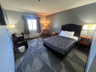 American Inn and Suites Ionia - Ionia - 2