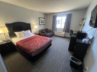 American Inn and Suites Ionia - Ionia - 7