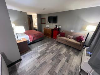 American Inn and Suites Ionia - Ionia - 8