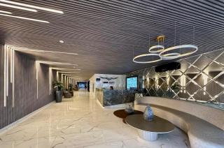 Business, Exclusive Area, Luxury, Style, Comfort Sky Elite - 7