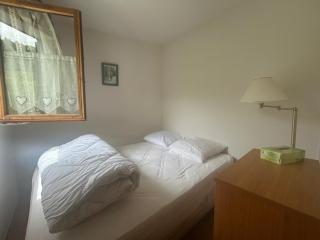Appartement à Bernex près des pistes, 4 pers, balcon - FR-1-498-114 - 3