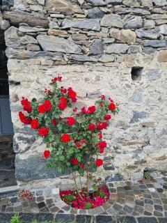Rustico 'Casa Lupi' - Gordola - 9