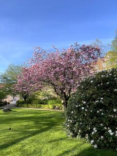 Charming and Bright Apartment in Central Aalborg Close to Nature, Harbour & Dining - Aalborg - 2