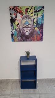 Nice Appartement T2 - 1